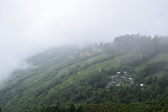 Happy Valley Tea Estate terraces near Darjeeling