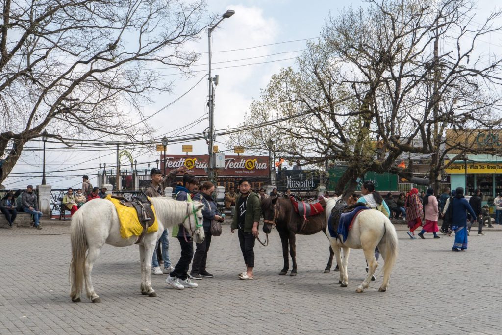 Chowrasta square in Darjeeling, with visitors walking across the paved pedestrian plaza